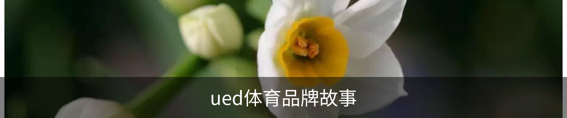 内页banner